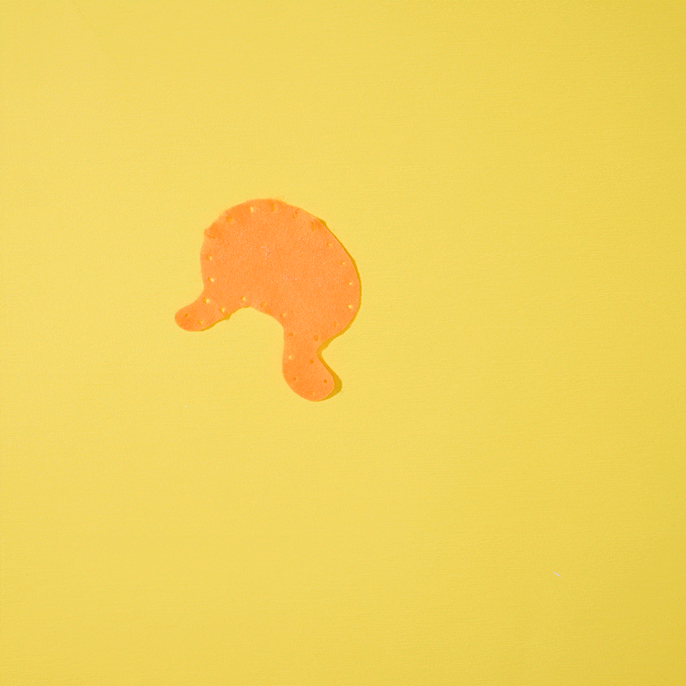 からだの仕組みキット